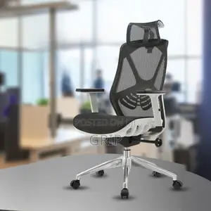 Ergonomic Chair