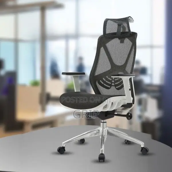 Ergonomic Chair