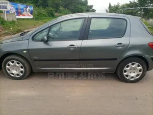 Peugeot 307 2005 Gray