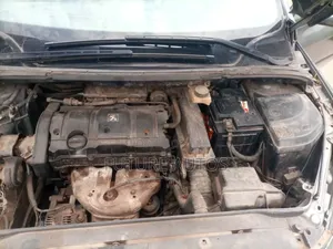 Peugeot 307 2005 Gray