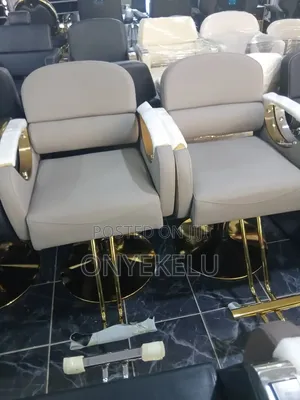 Salon Chairs