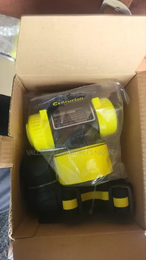 Ex Head Light