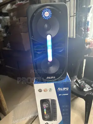 Alipu Double 10inches Public Address System