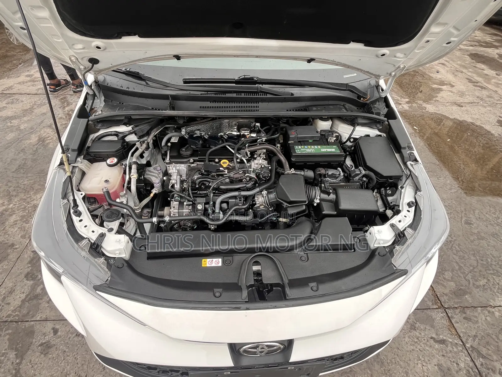 Toyota Corolla 2022 White