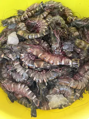 Jumbo Size Prawns