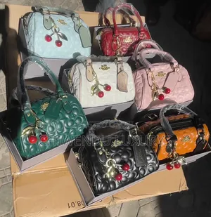 Coach Boxed Bag