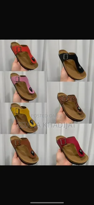 Birken Slides