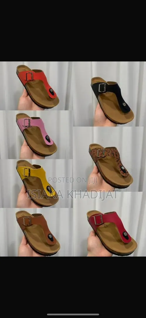 Birken Slides