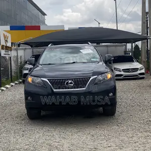 Lexus RX 2010 Gray