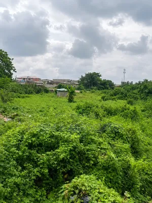 2 Acres Commercial Land - Badagry Expressway, Agbara, Lagos