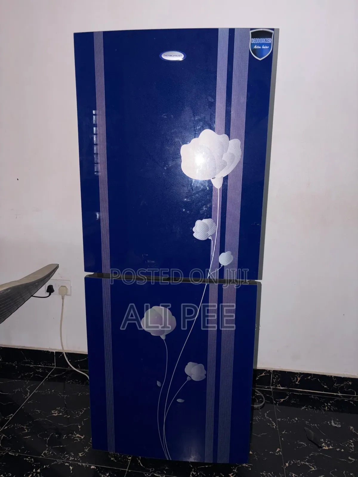 Thermofrost Fridge