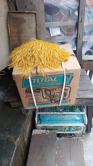 Total 2 Inches Petrol Water Pump