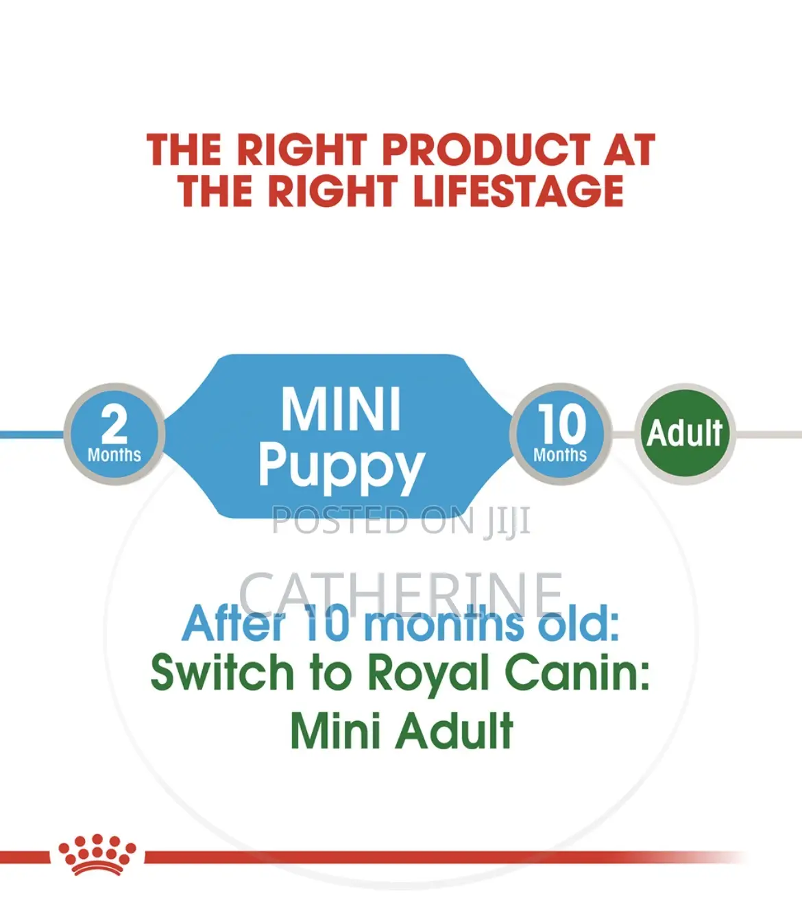 Royal Canin Mini Puppy Pouch