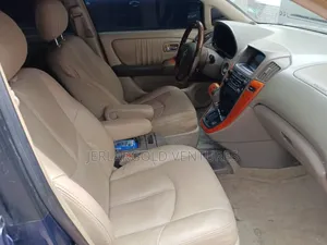 Lexus RX 2003 Blue