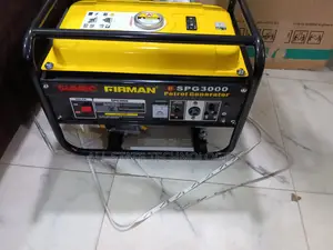 Sumec Firman Spg3000 Petrol Generator