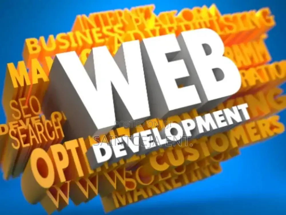 Professional Website Design And Developments In Kano State