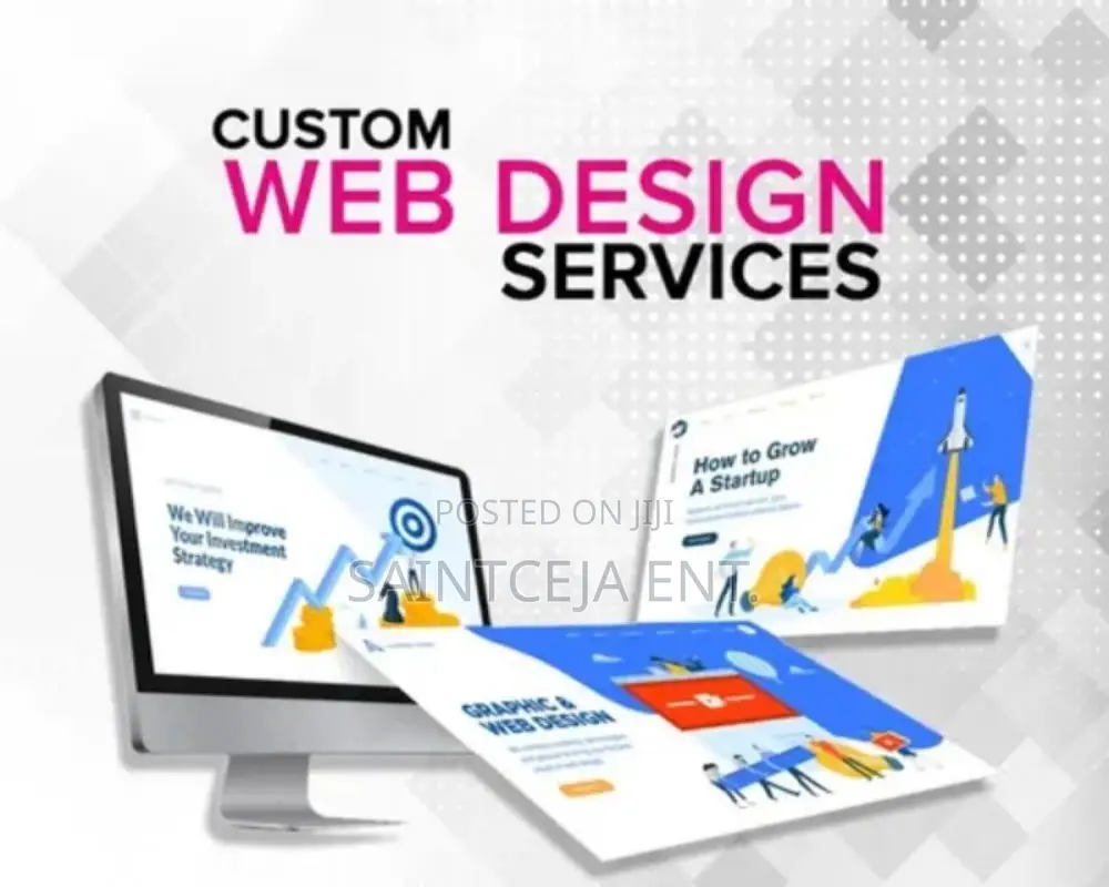 Professional Website Design And Developments In Kano State