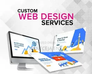 Professional Website Design And Developments In Kano State