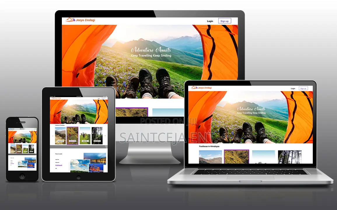 Professional Website Design And Developments In Kano State