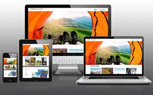 Professional Website Design And Developments In Kano State