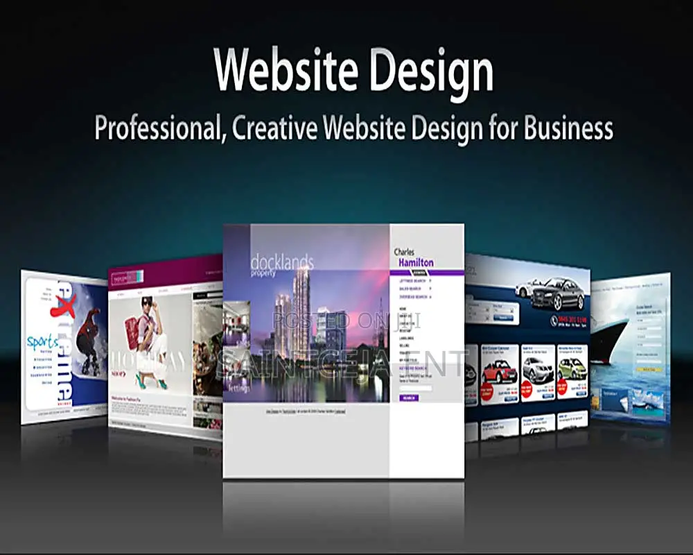 Professional Website Design And Developments In Kano State