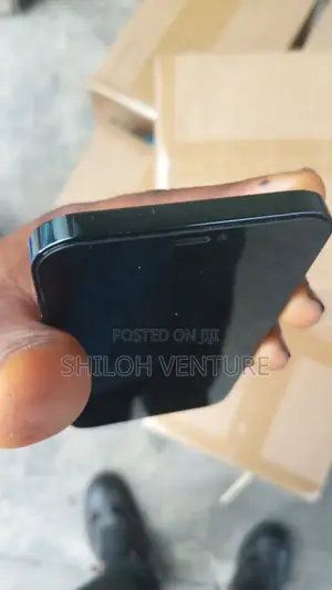 Apple iPhone 12 Pro Max 128 GB Blue