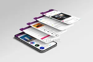 Premium Mobile App Development in Kano State
