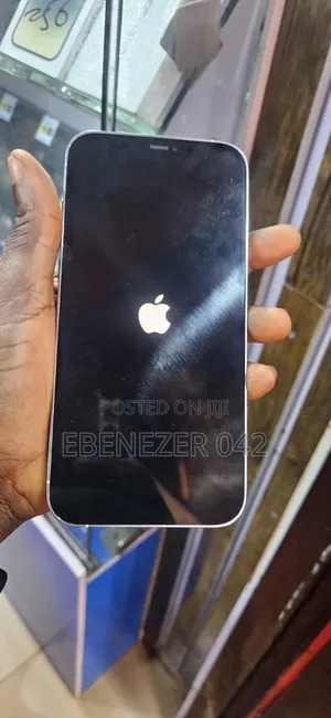 Apple iPhone 12 Pro Max 256 GB White