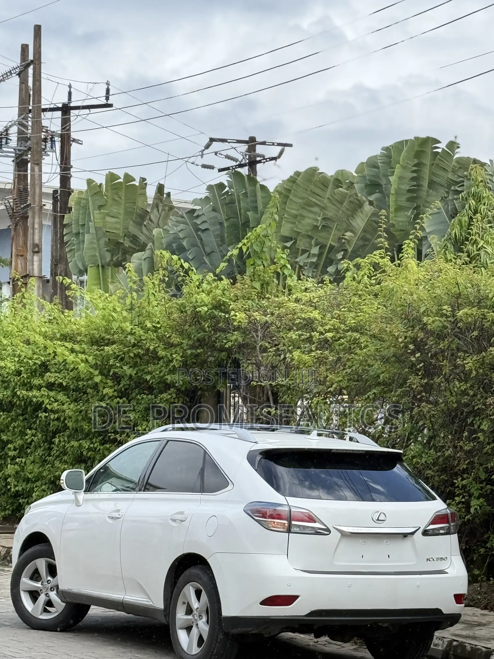 Lexus RX 2013 White