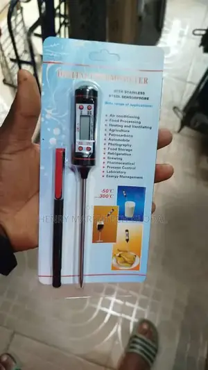 Digital Pen Thermometer