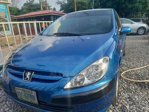 Peugeot 307 2007 Blue