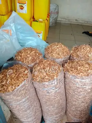 Sweet Oron Crayfish for Sale
