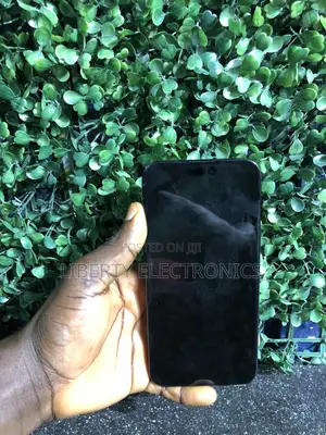 Apple iPhone 15 Pro Max 1 TB Black