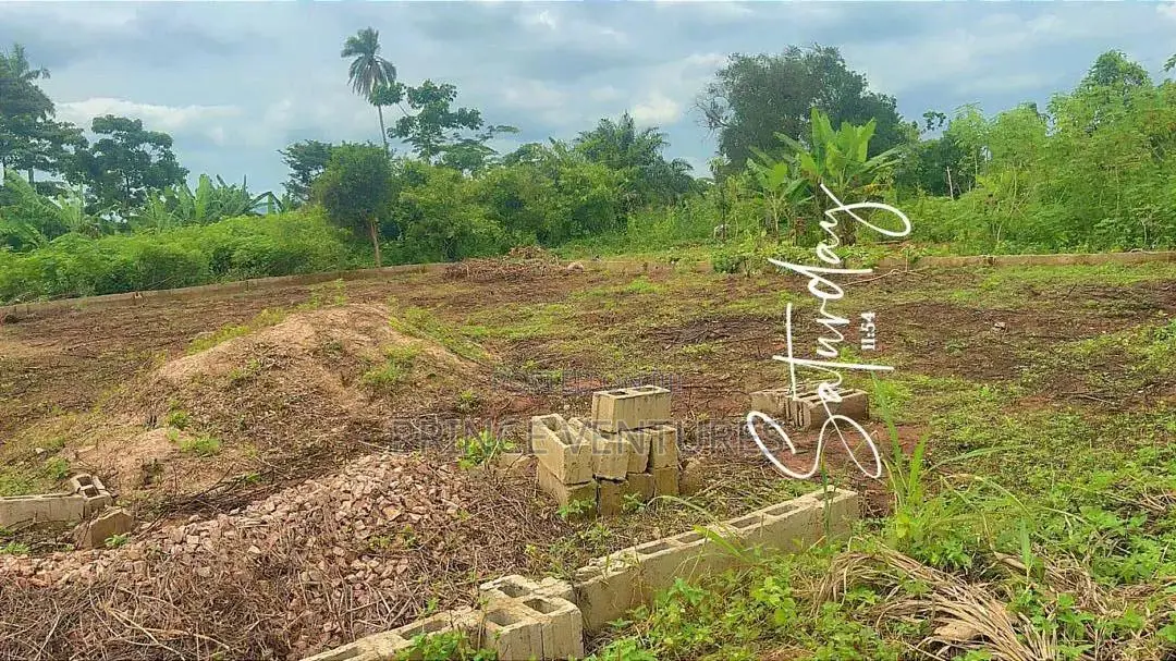 Full Plot Of Land