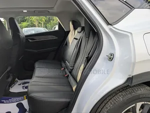 New Dongfeng Captain 2025 White