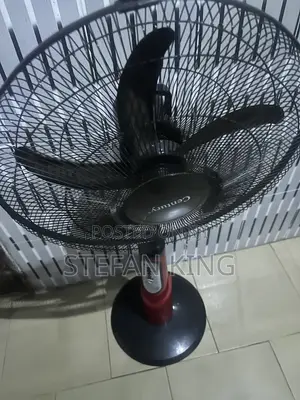 Electric Standing Fan