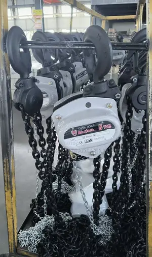 Maxtech Brand Manual Chain Hoist
