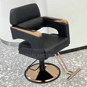 Comfortable Saloon Chair