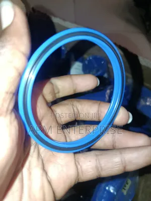 Hydraulic Seals MPS Make