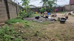 Standard Half Plot of Land at Wesley Str,Off Ashimolowo B/Stop,Abesan
