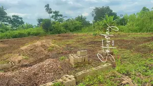 Full Plot Of Land