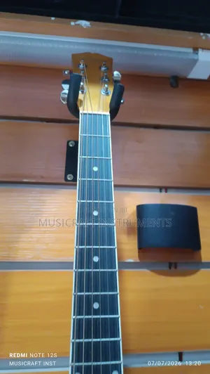Smiger Semi Acoustic Guitars