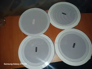 Ceiling Speaker With Bluetooth