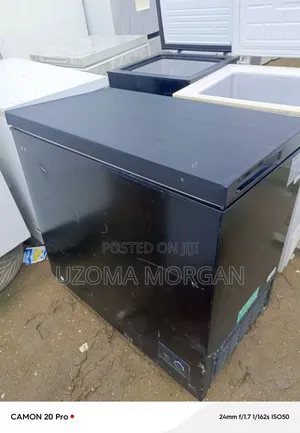 Chess Freezer 200ltrs