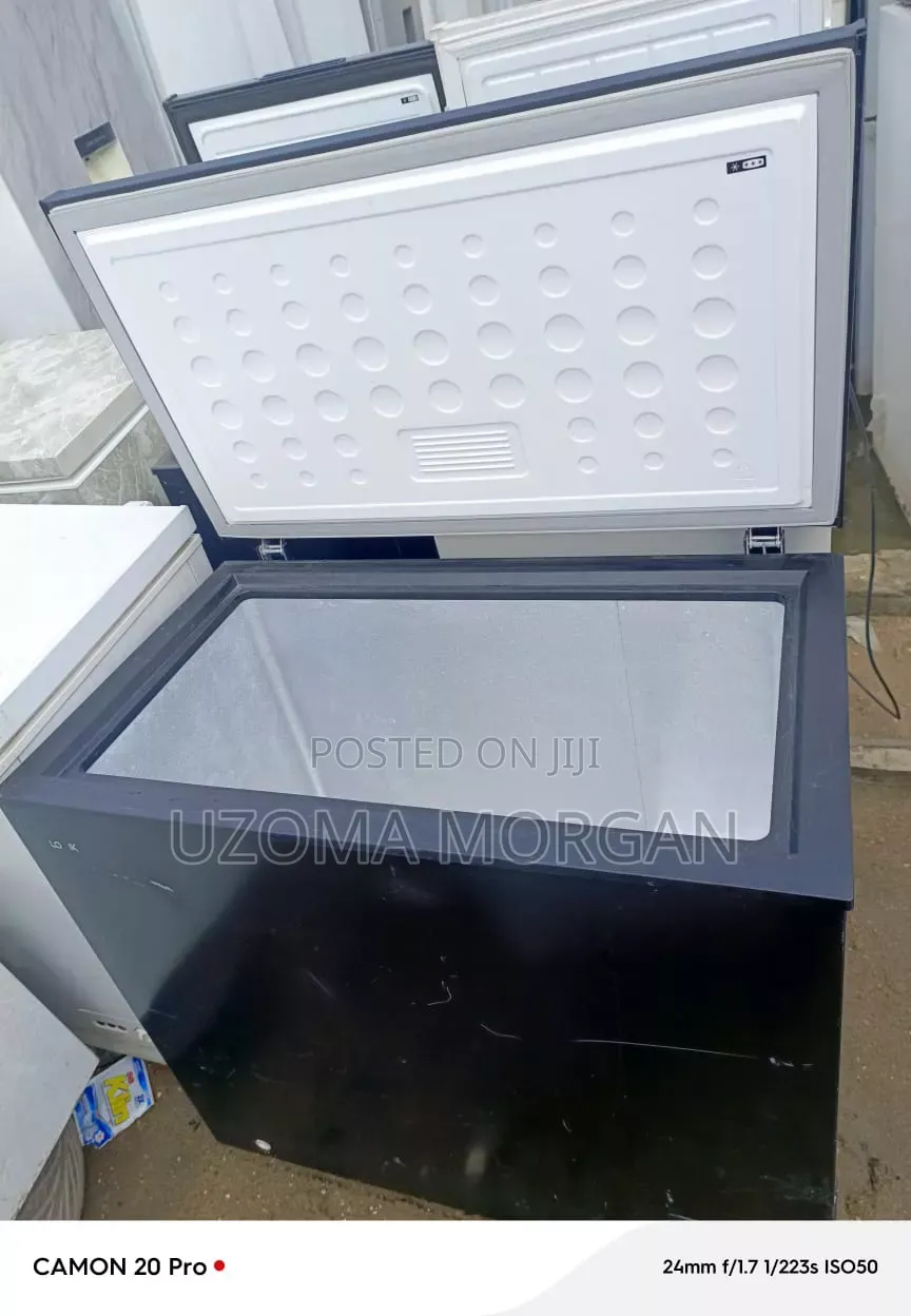 Chess Freezer 200ltrs
