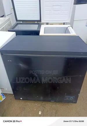Chess Freezer 200ltrs