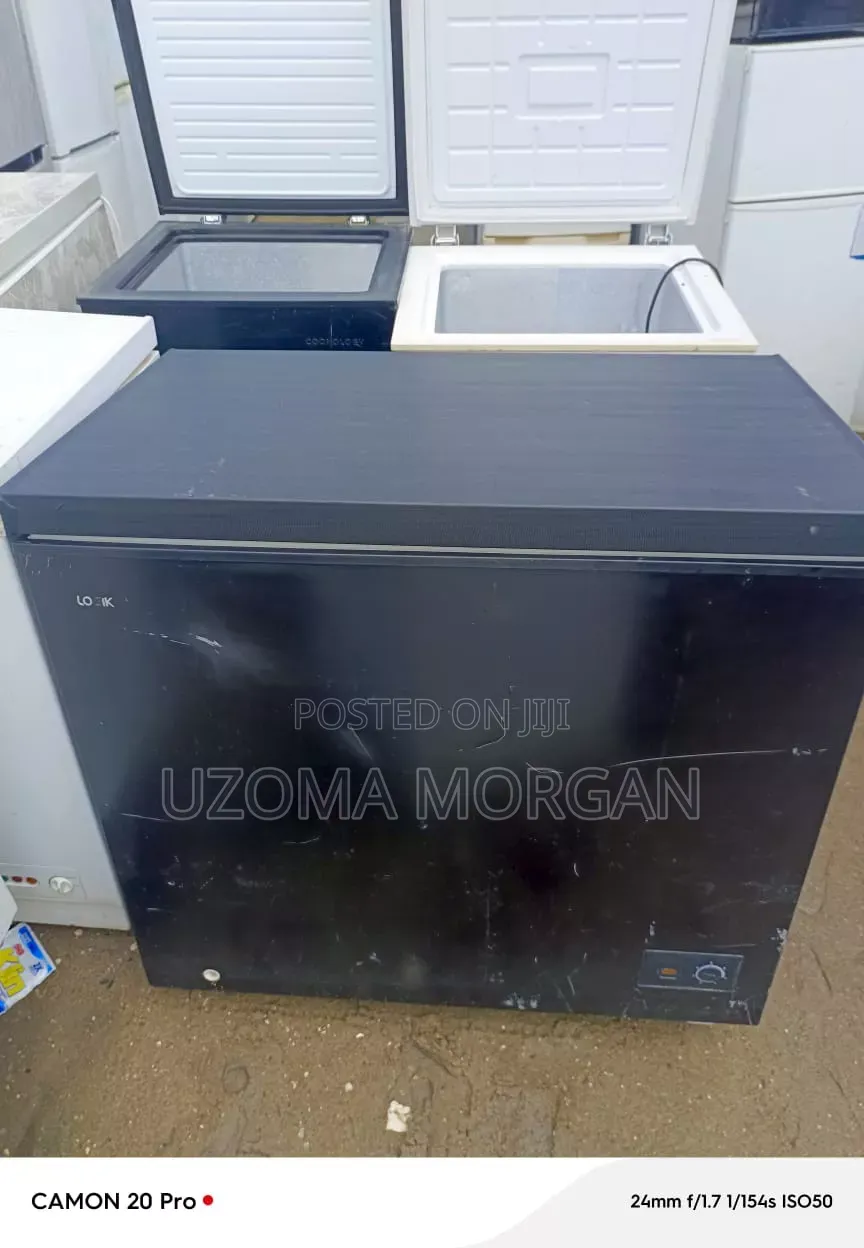 Chess Freezer 200ltrs