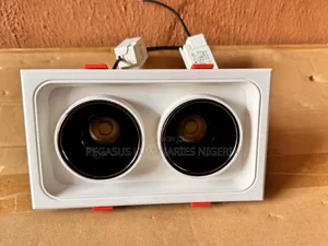 12watts X 2 Double Spot Light