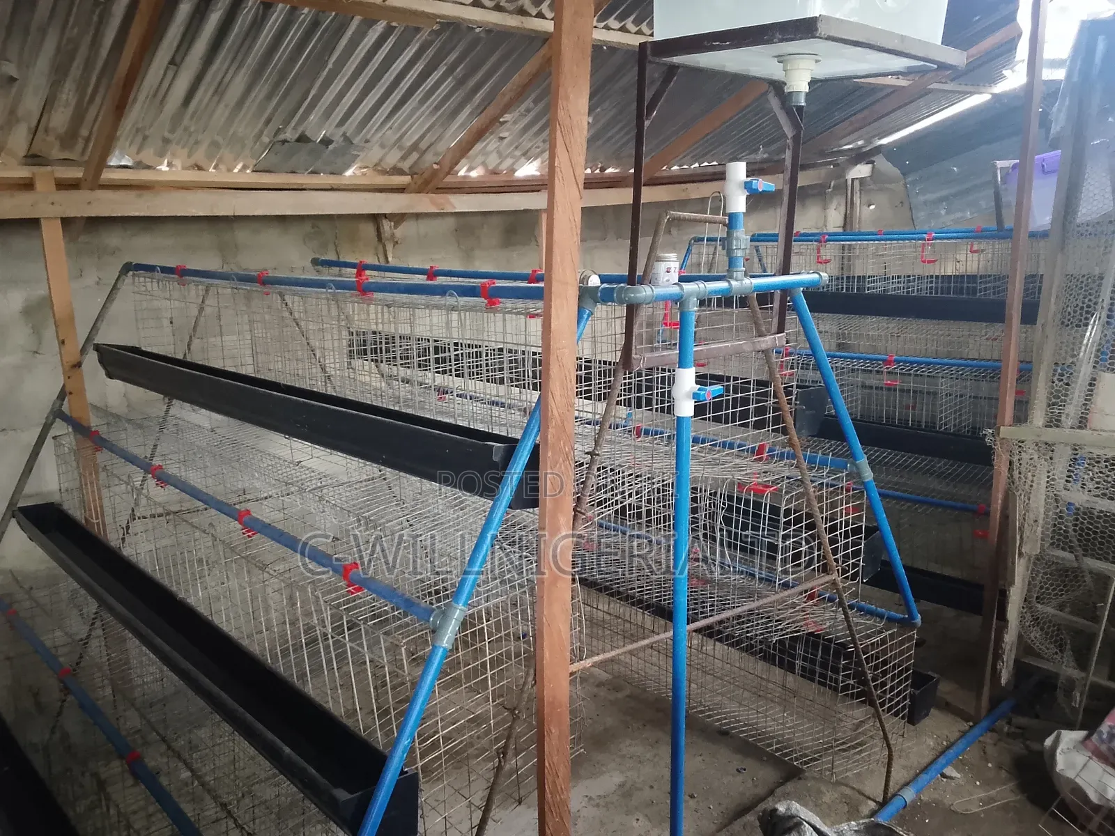 We Make Battery Cage for Poultry Layers