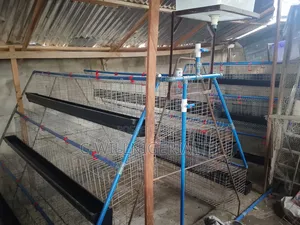 We Make Battery Cage for Poultry Layers